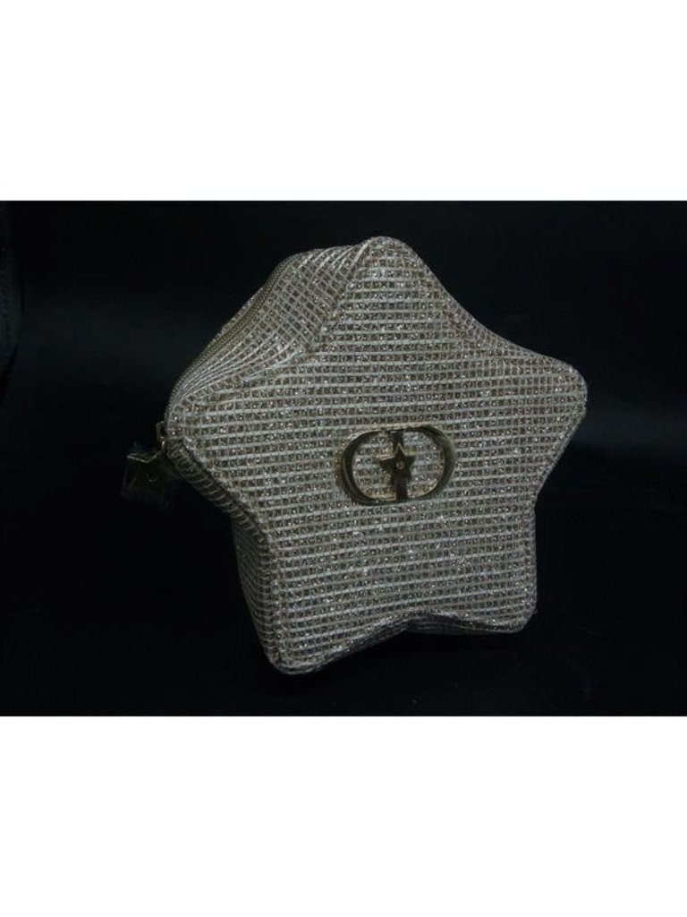Dior Nylon Pouch Star Makeup Multi Case Gold